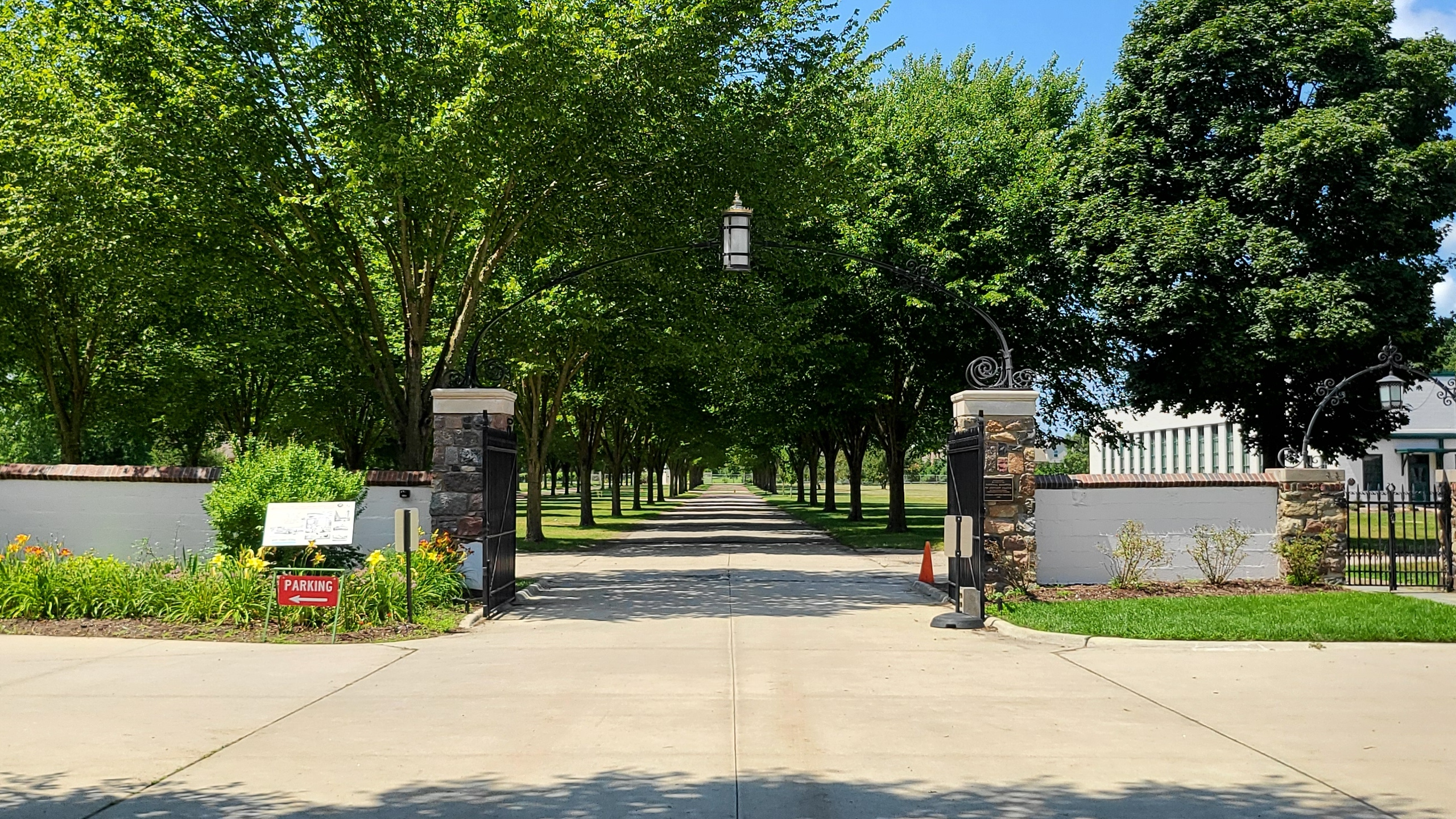 Q32025 North Parkway Elm Trees